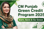 CM Punjab Green Credit Program 2025 - Earn Rewards for Going