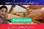 CM Punjab Wheat Support Program 2025 Registration Process Get 5000 Per Acer