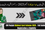 CM Punjab Khidmat Card Scheme
