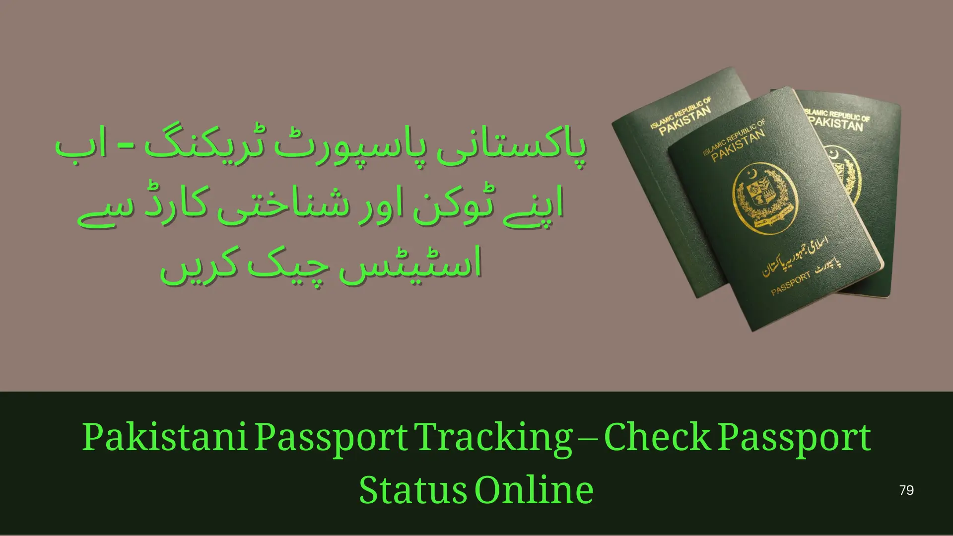 Pakistani Passport Tracking