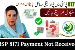 BISP 8171 Payment Not Received