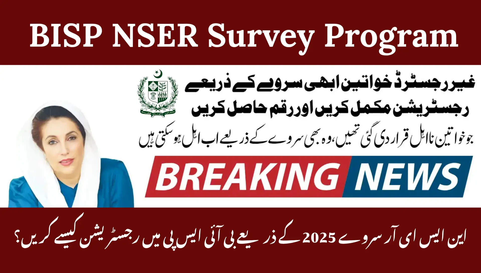BISP NSER Survey Program