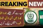 Check Online Married Status in NADRA CNIC