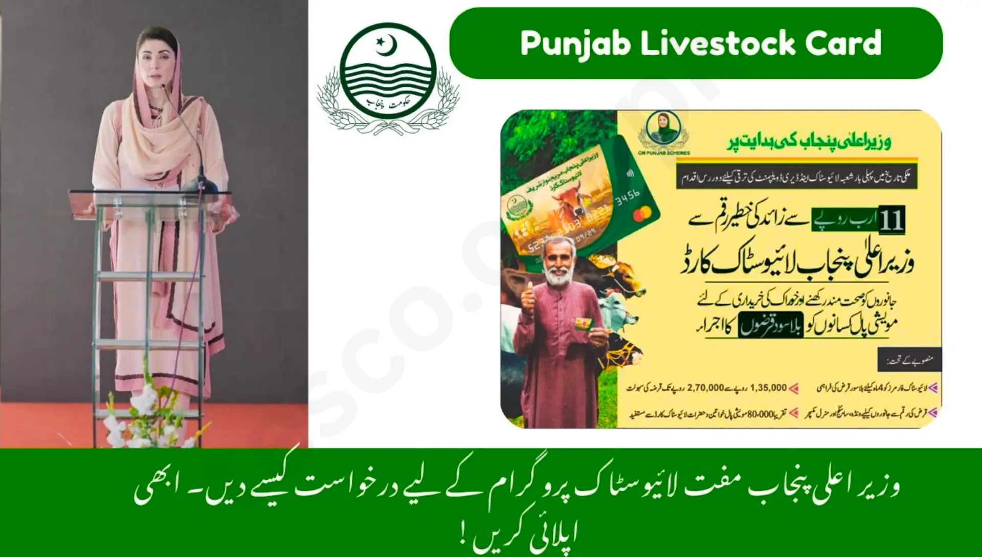 Punjab Livestock Card