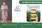 Sarsabz Punjab Scheme