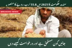 Sindh Unveils Rs55.8 Billion Assistance Plan for Small-Scale Wheat Cultivators