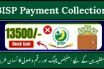 BISP Payment Collection December 2025 – Check Eligibility, Status & Withdrawal Method