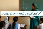 Bad News for 11 000 Punjab Teachers