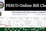 PESCO Online Bill Check