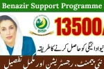 Benazir Support Programme
