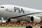PIA Privatization Update